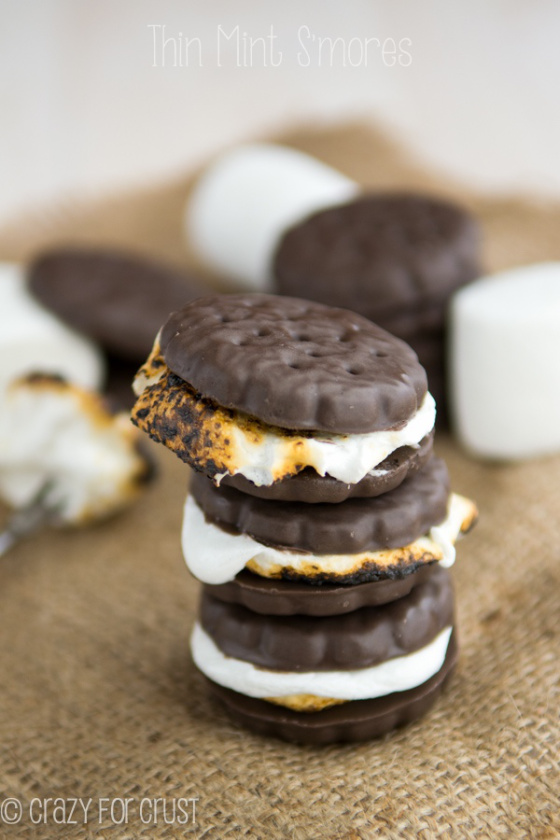 Thin Mint S'mores | Faith, Hope, Love, and Luck Survive Despite a Whiskered Accomplice