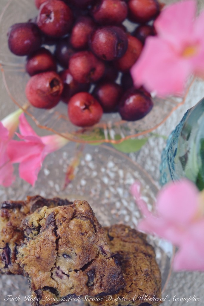 Moist Cherry Chocolate Cake Bars | Faith, Hope, Love, and Luck Survive Despite a Whiskered Accomplice