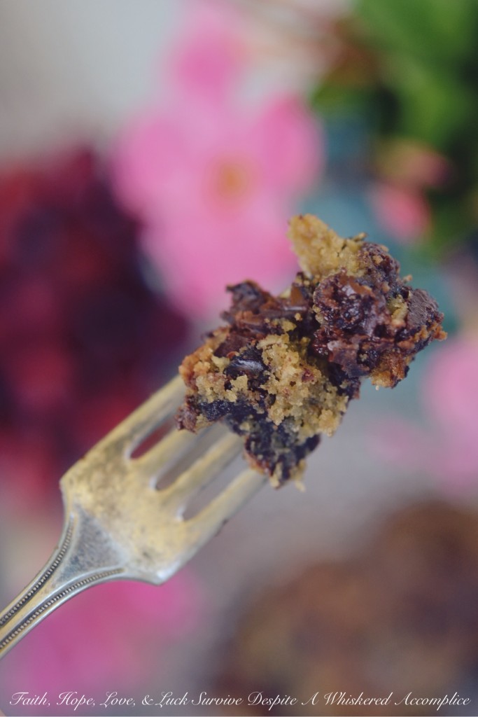 Moist Cherry Chocolate Cake Bars | Faith, Hope, Love, and Luck Survive Despite a Whiskered Accomplice