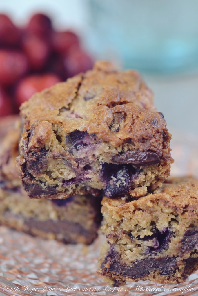 Moist Cherry Chocolate Cake Bars