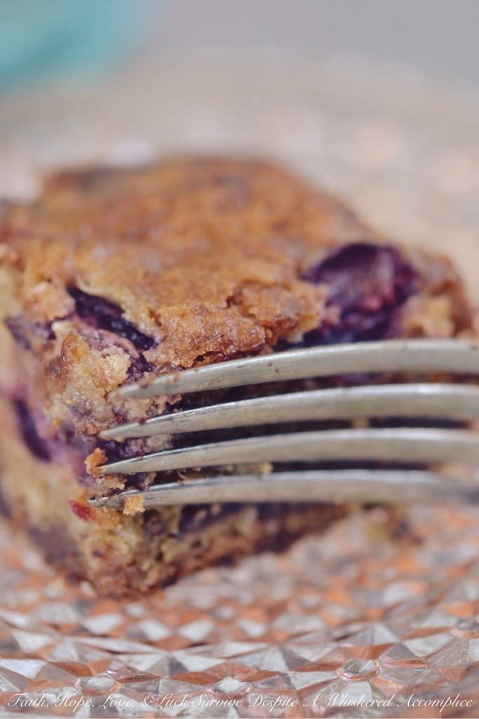Moist Cherry Chocolate Cake Bars | Faith, Hope, Love, and Luck Survive Despite a Whiskered Accomplice