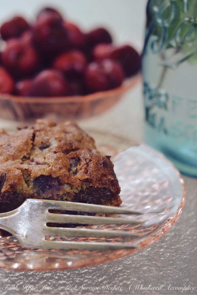 Moist Cherry Chocolate Cake Bars | Faith, Hope, Love, and Luck Survive Despite a Whiskered Accomplice