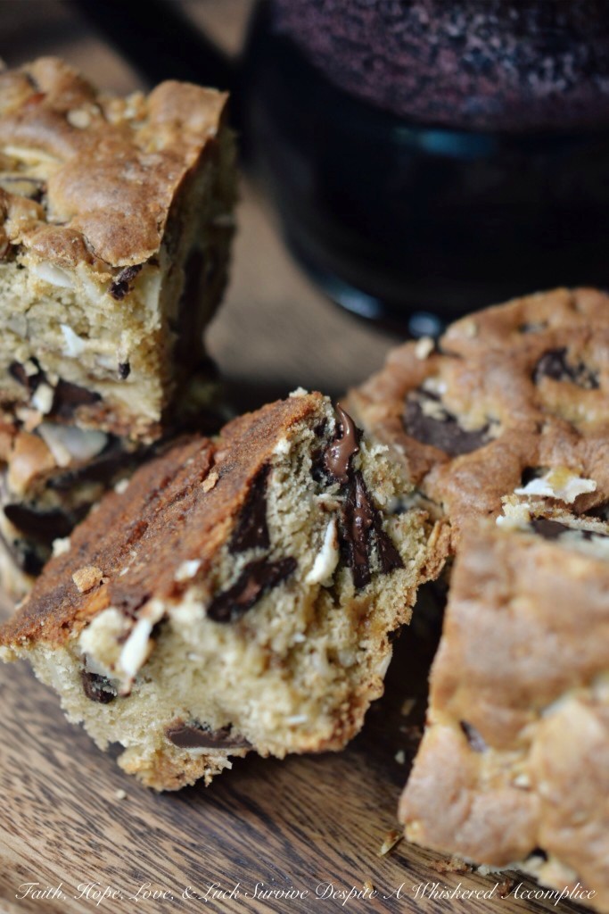 DT's Camping Cookie Bars | Faith, Hope, Love, and Luck Survive Despite a Whiskered Accomplice