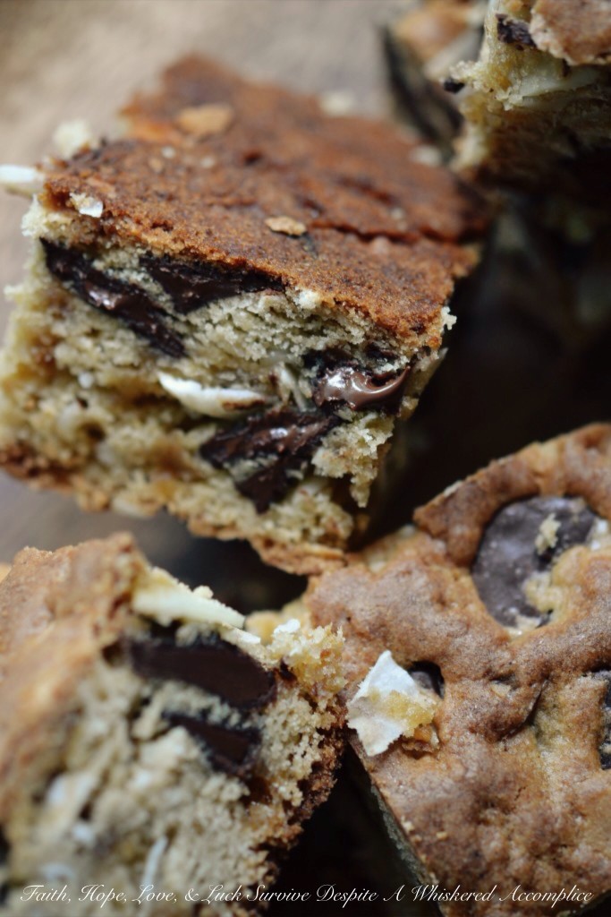 DT's Camping Cookie Bars | Faith, Hope, Love, and Luck Survive Despite a Whiskered Accomplice