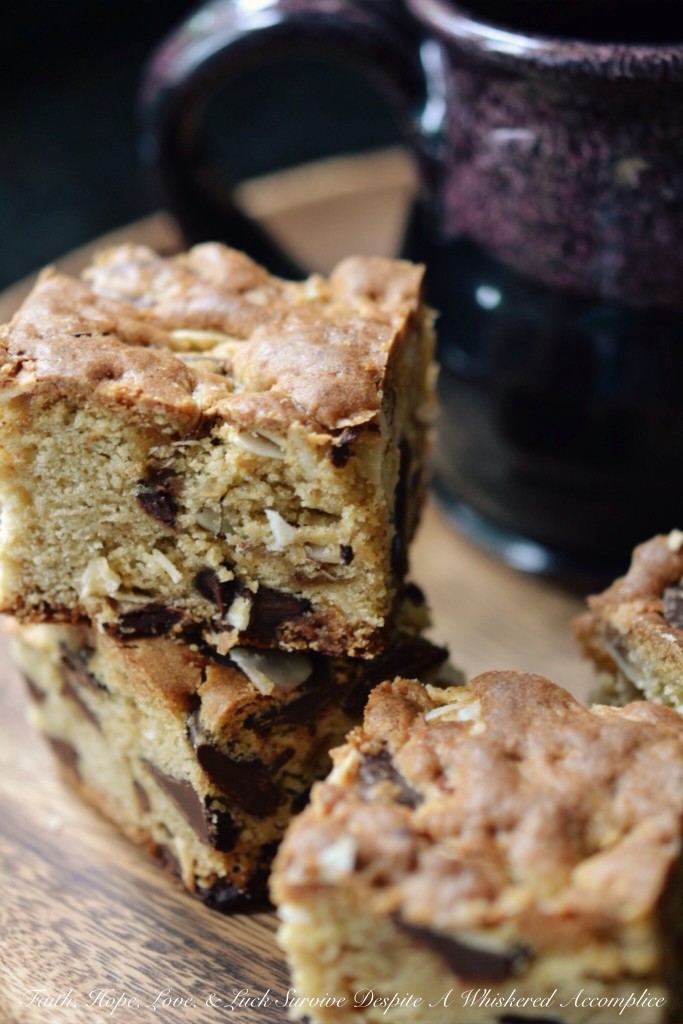 DT's Camping Cookie Bars | Faith, Hope, Love, and Luck Survive Despite a Whiskered Accomplice