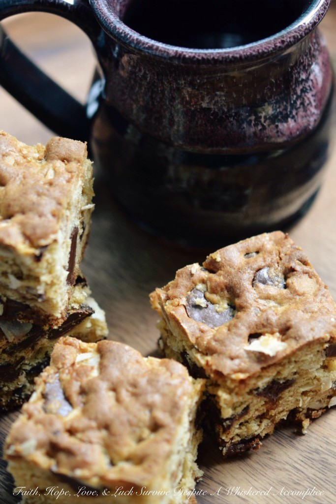 DT's Camping Cookie Bars | Faith, Hope, Love, and Luck Survive Despite a Whiskered Accomplice