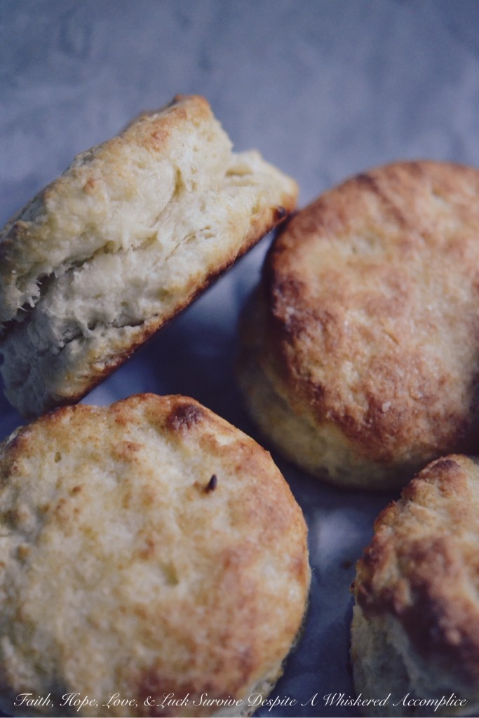 Easy, Flaky Breakfast Biscuits - Take 2 - Biscuits aren't too terribly difficult to make, and they're an absolutely delicious way to start off any morning. This easy, flaky breakfast biscuit recipe will have you making biscuits every chance you get because after making them once, you're going to want to make them over and over again after you see just how easy they are to make.