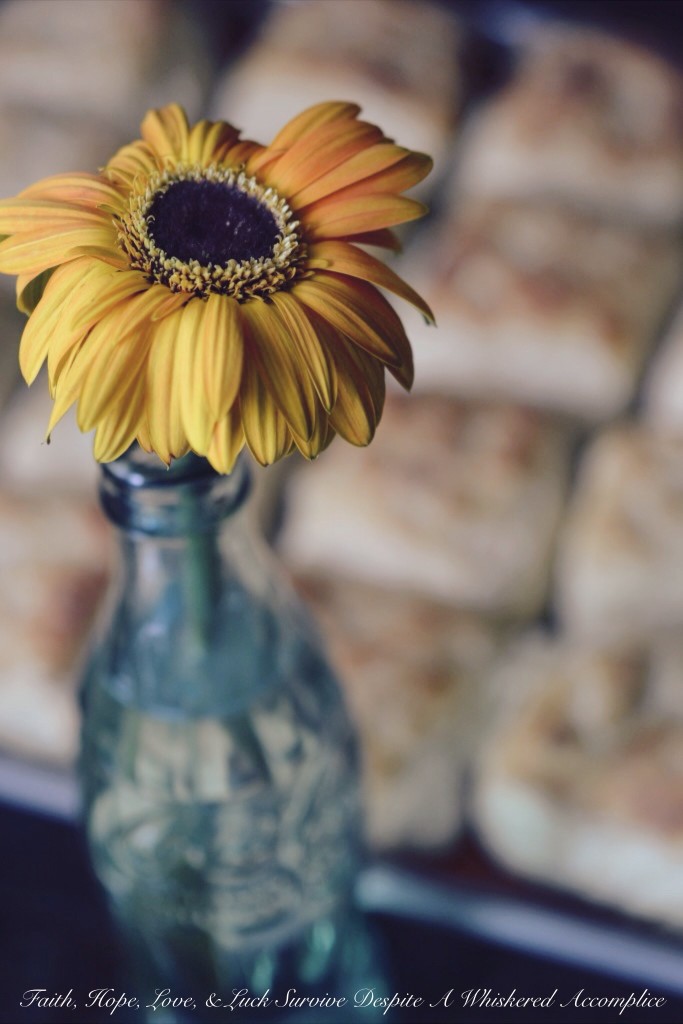 Biscuits for a Crowd, Group, or Herd | Faith, Hope, Love, and Luck Survive Despite a Whiskered Accomplice