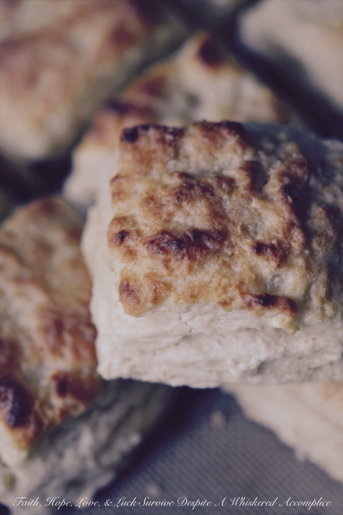 Biscuits for a Crowd, Group, or Herd | Faith, Hope, Love, and Luck Survive Despite a Whiskered Accomplice