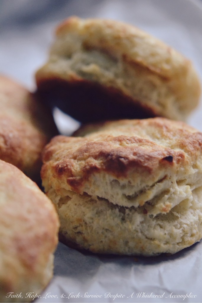 Easy, Flaky Breakfast Biscuits - Take 2 - Biscuits aren't too terribly difficult to make, and they're an absolutely delicious way to start off any morning. This easy, flaky breakfast biscuit recipe will have you making biscuits every chance you get because after making them once, you're going to want to make them over and over again after you see just how easy they are to make.