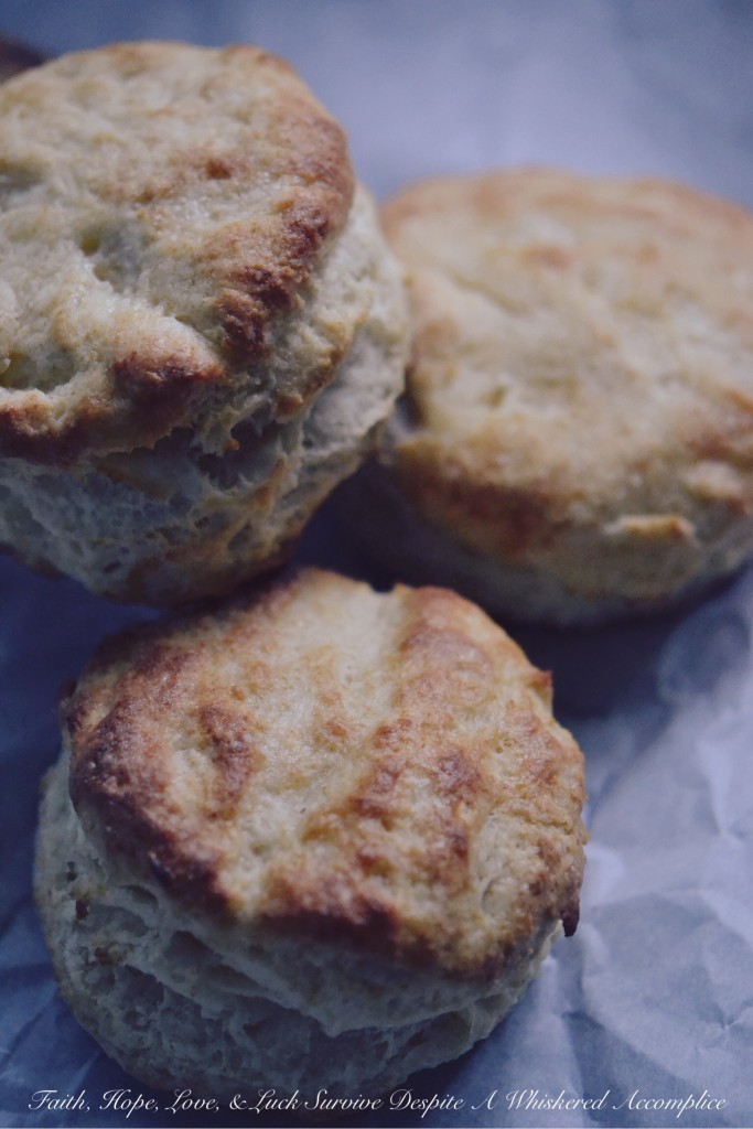 Easy, Flaky Breakfast Biscuits - Take 2 - Biscuits aren't too terribly difficult to make, and they're an absolutely delicious way to start off any morning. This easy, flaky breakfast biscuit recipe will have you making biscuits every chance you get because after making them once, you're going to want to make them over and over again after you see just how easy they are to make.