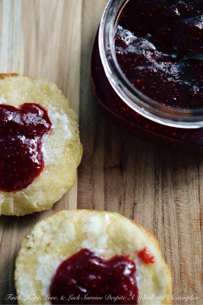 Small-Batch Strawberry Refrigerator Preserves | Faith, Hope, Love, and Luck Survive Despite a Whiskered Accomplice