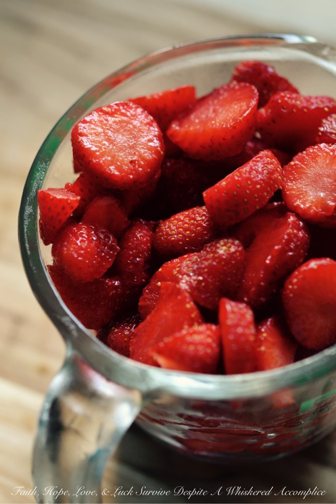 Small-Batch Strawberry Refrigerator Preserves | Faith, Hope, Love, and Luck Survive Despite a Whiskered Accomplice