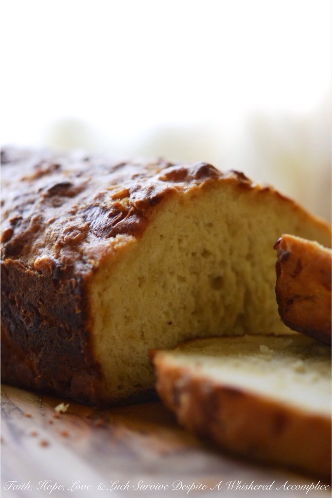 Mexican Beer Bread | Faith, Hope, Love, and Luck Survive Despite a Whiskered Accomplice
