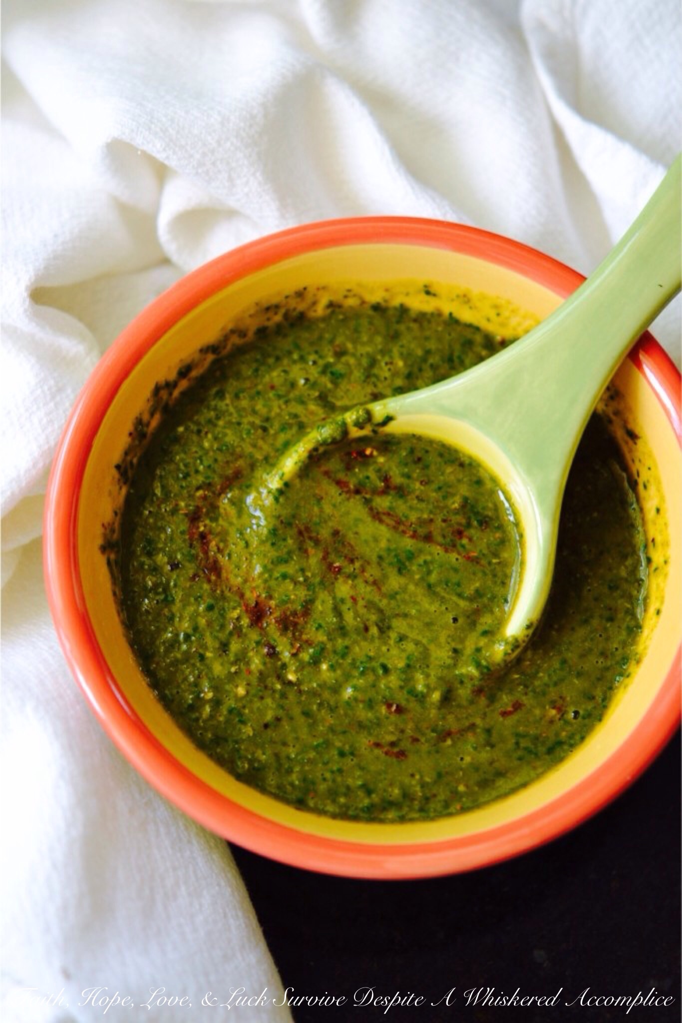 Day 2 – Taco Seasoning: Chimichurri Sauce