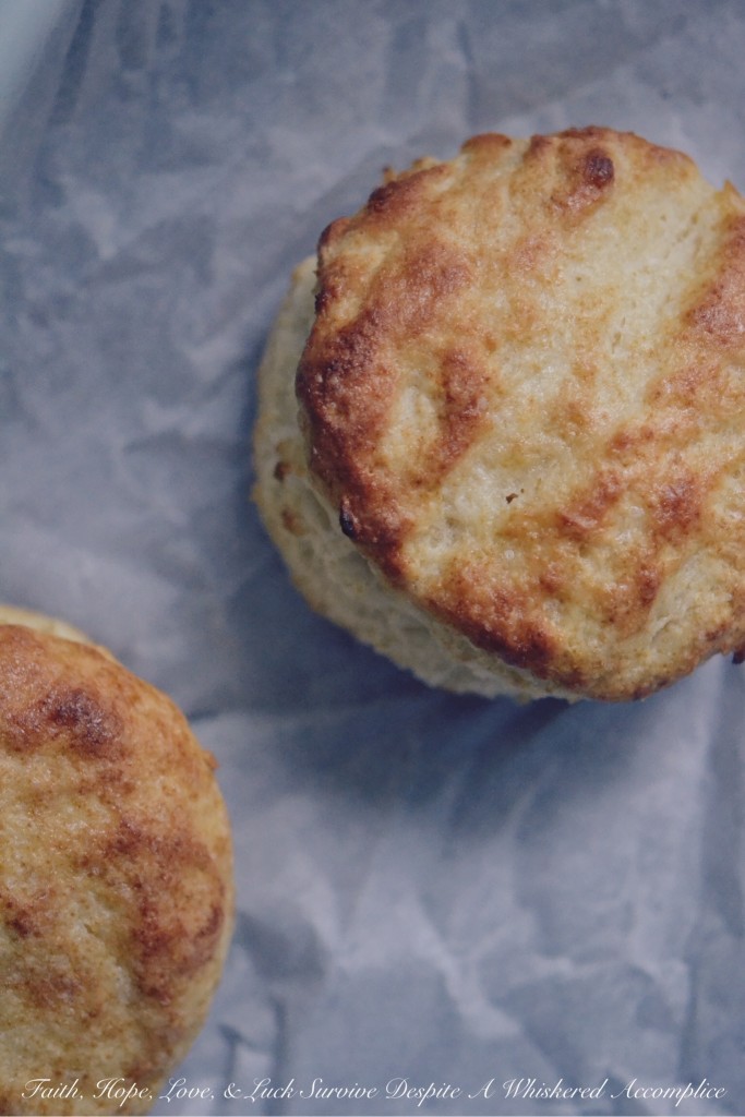 Easy, Flaky Breakfast Biscuits - Take 2 - Biscuits aren't too terribly difficult to make, and they're an absolutely delicious way to start off any morning. This easy, flaky breakfast biscuit recipe will have you making biscuits every chance you get because after making them once, you're going to want to make them over and over again after you see just how easy they are to make.