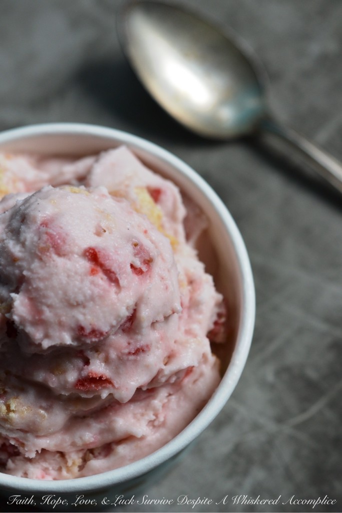 Strawberry Shortbread Gelato - There's nothing quite like creamy homemade frozen strawberry gelato on a hot summer day. And to make it even better, why not add some crumbled shortbread for a delightful crunch? It's the perfect way to beat the heat and indulge in a sweet treat that's both refreshing and satisfying.