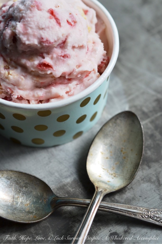 Strawberry Shortbread Gelato | Faith, Hope, Love, and Luck Survive Despite a Whiskered Accomplice