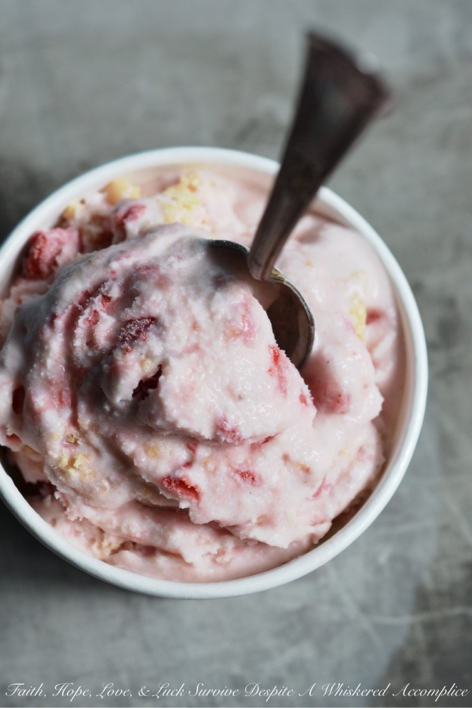 Strawberry Shortbread Gelato - There's nothing quite like creamy homemade frozen strawberry gelato on a hot summer day. And to make it even better, why not add some crumbled shortbread for a delightful crunch? It's the perfect way to beat the heat and indulge in a sweet treat that's both refreshing and satisfying.