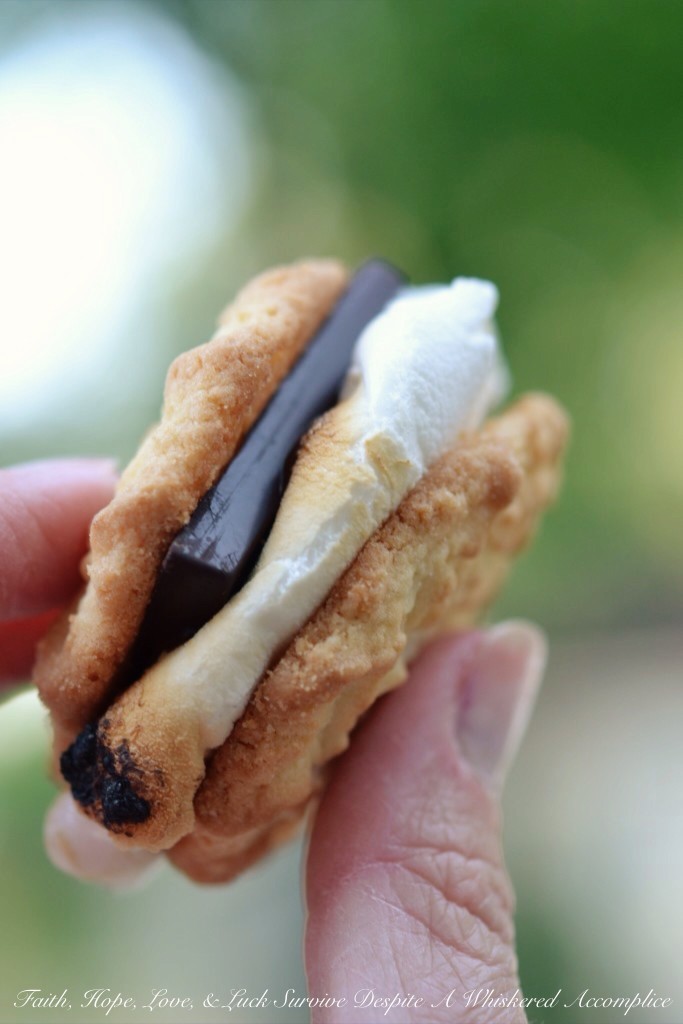 Coconut Shortbread S'mores with Dark Chocolate and a Touch of Sea Salt | Faith, Hope, Love, and Luck Survive Despite a Whiskered Accomplice