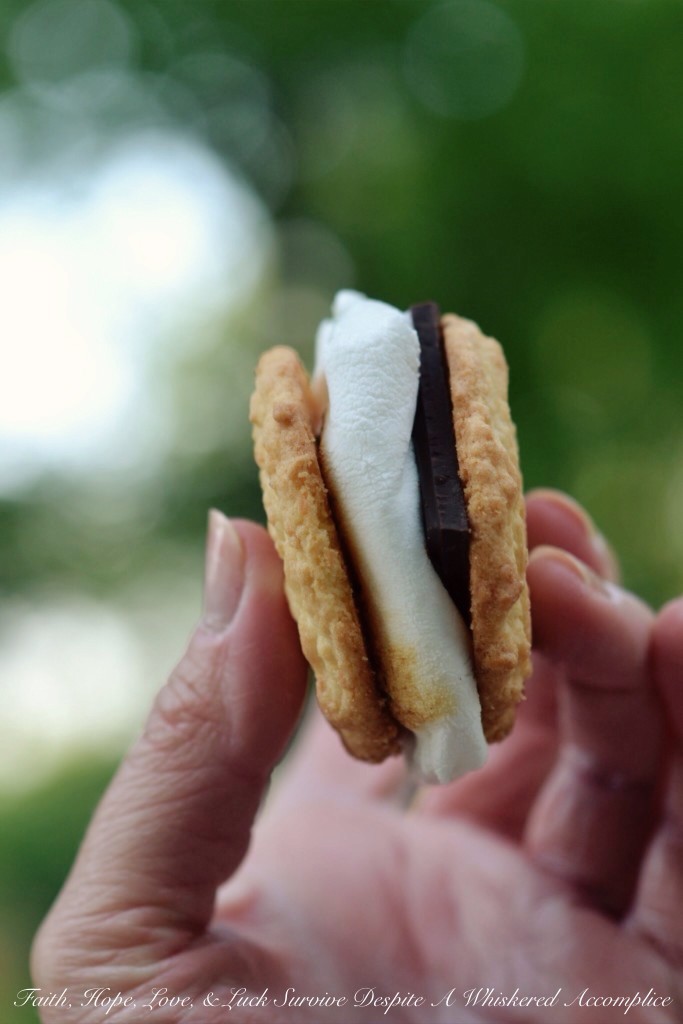 Coconut Shortbread S'mores with Dark Chocolate and a Touch of Sea Salt | Faith, Hope, Love, and Luck Survive Despite a Whiskered Accomplice