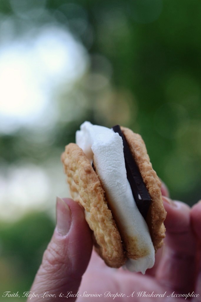 Coconut Shortbread S'mores with Dark Chocolate and a Touch of Sea Salt | Faith, Hope, Love, and Luck Survive Despite a Whiskered Accomplice