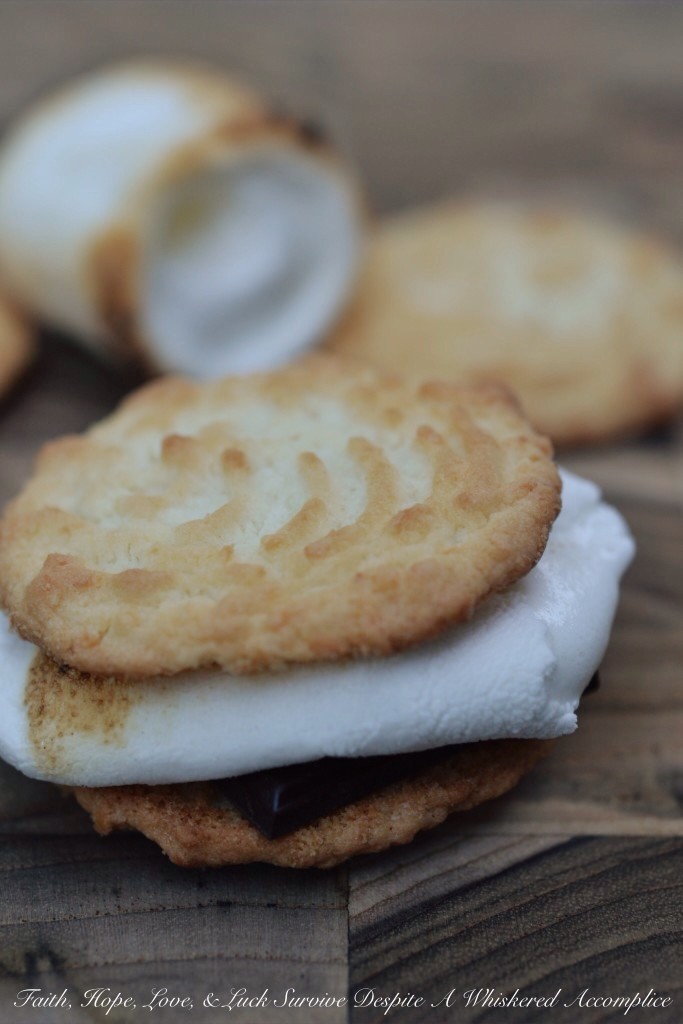 Coconut Shortbread S'mores with Dark Chocolate and a Touch of Sea Salt | Faith, Hope, Love, and Luck Survive Despite a Whiskered Accomplice