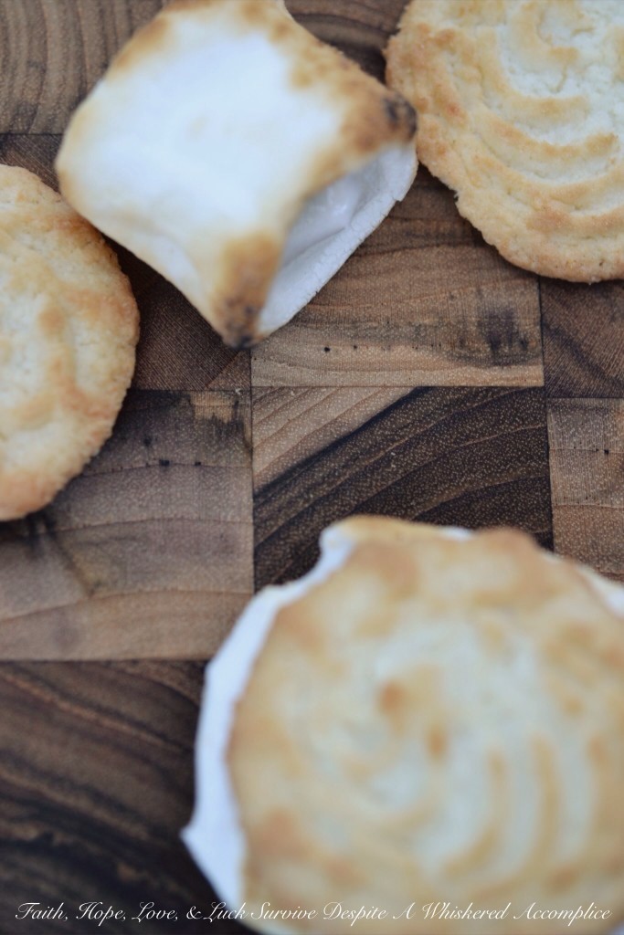 Coconut Shortbread S'mores with Dark Chocolate and a Touch of Sea Salt | Faith, Hope, Love, and Luck Survive Despite a Whiskered Accomplice