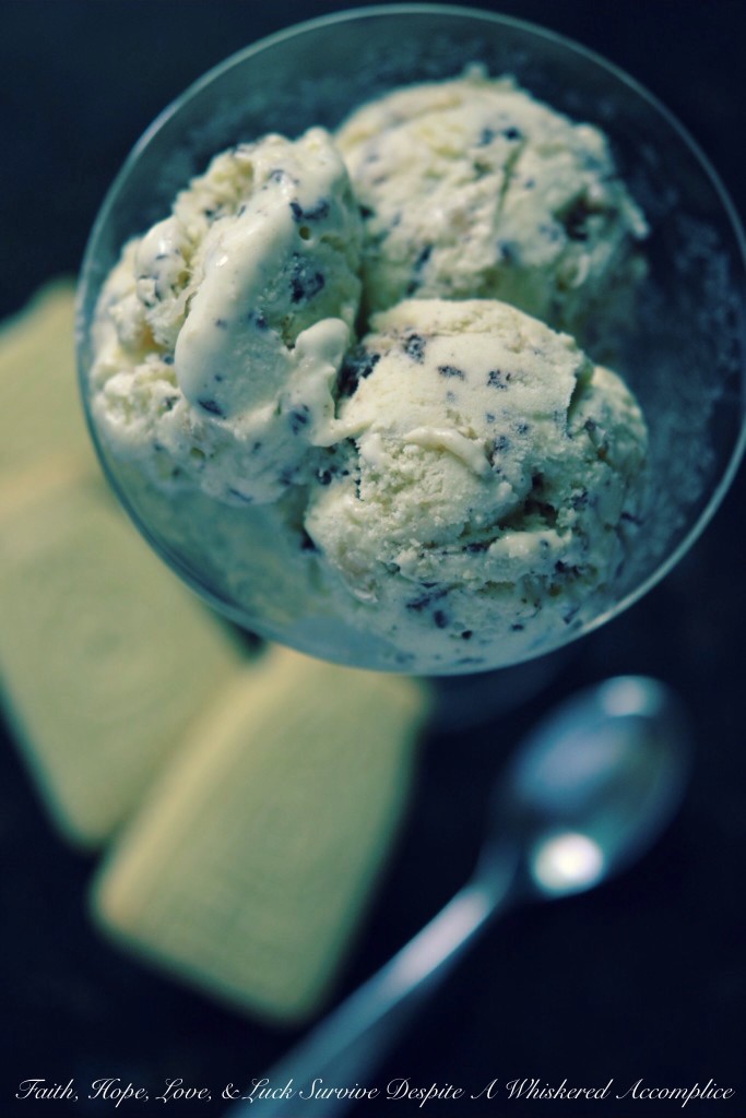 "Blow Your Kilt Off" Samoas Ice Cream - The vanilla bean base of this Samoas ice cream is super creamy and pairs perfectly with the toasted buttery coconut, semi-sweet chocolate chips, and crumbled shortbread it's combined with. If you're a fan of Samoas cookies and ice cream, it's definitely a homemade ice cream flavor you need to try.