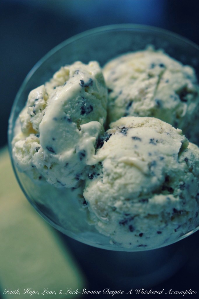 "Blow Your Kilt Off" Samoas Ice Cream - The vanilla bean base of this Samoas ice cream is super creamy and pairs perfectly with the toasted buttery coconut, semi-sweet chocolate chips, and crumbled shortbread it's combined with. If you're a fan of Samoas cookies and ice cream, it's definitely a homemade ice cream flavor you need to try.