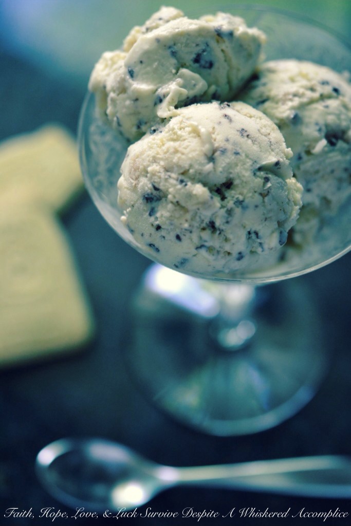 "Blow Your Kilt Off" Samoas Ice Cream - The vanilla bean base of this Samoas ice cream is super creamy and pairs perfectly with the toasted buttery coconut, semi-sweet chocolate chips, and crumbled shortbread it's combined with. If you're a fan of Samoas cookies and ice cream, it's definitely a homemade ice cream flavor you need to try.