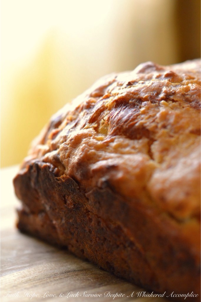 Mexican Beer Bread | Faith, Hope, Love, and Luck Survive Despite a Whiskered Accomplice