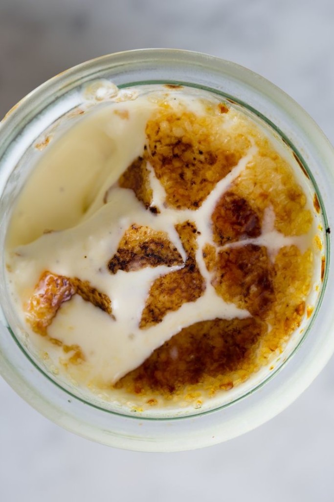 Creme Brulee Frozen Custard | Faith, Hope, Love, and Luck Survive Despite a Whiskered Accomplice