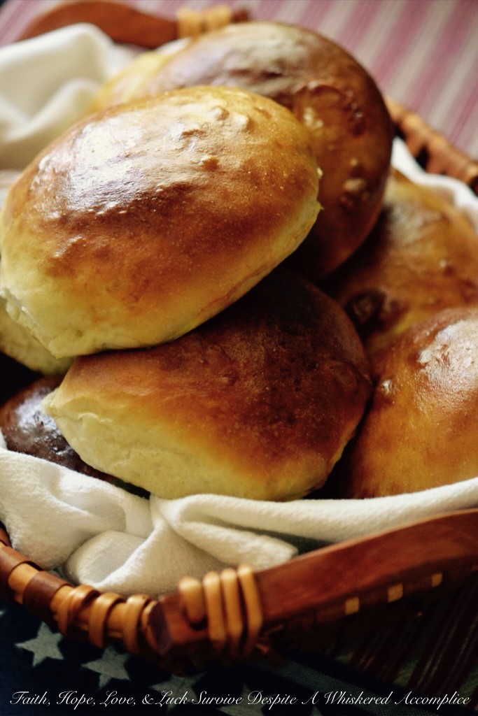 Buns for When Pigs Fly | Faith, Hope, Love, and Luck Survive Despite a Whiskered Accomplice