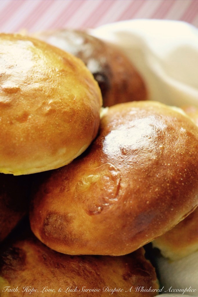 Buns for When Pigs Fly | Faith, Hope, Love, and Luck Survive Despite a Whiskered Accomplice