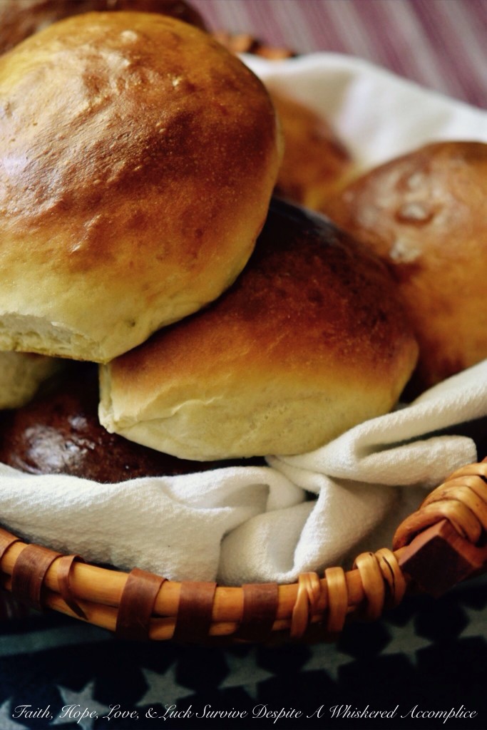 Buns for When Pigs Fly | Faith, Hope, Love, and Luck Survive Despite a Whiskered Accomplice