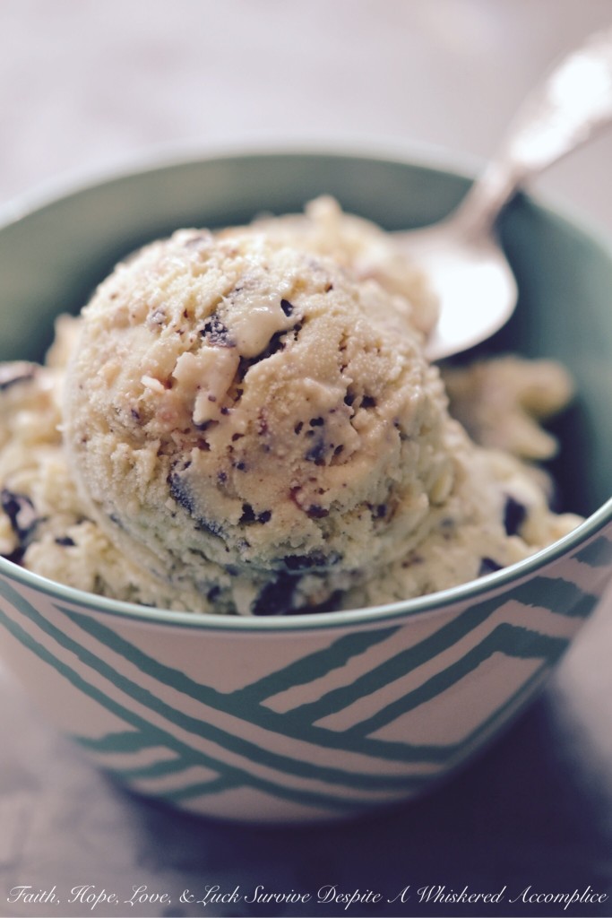 Coconut Chocolate Crack Ice Cream - Buttery toasted sweetened coconut and seriously dark chocolate chunks take this vanilla ice cream to the next level. The combination of flavors is amazing, making it the perfect frozen treat to cool down on a hot summer day. You won't be able to resist this addictive ice cream.