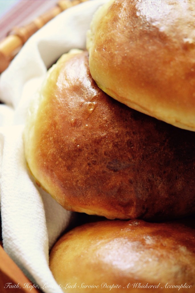 Buns for When Pigs Fly | Faith, Hope, Love, and Luck Survive Despite a Whiskered Accomplice