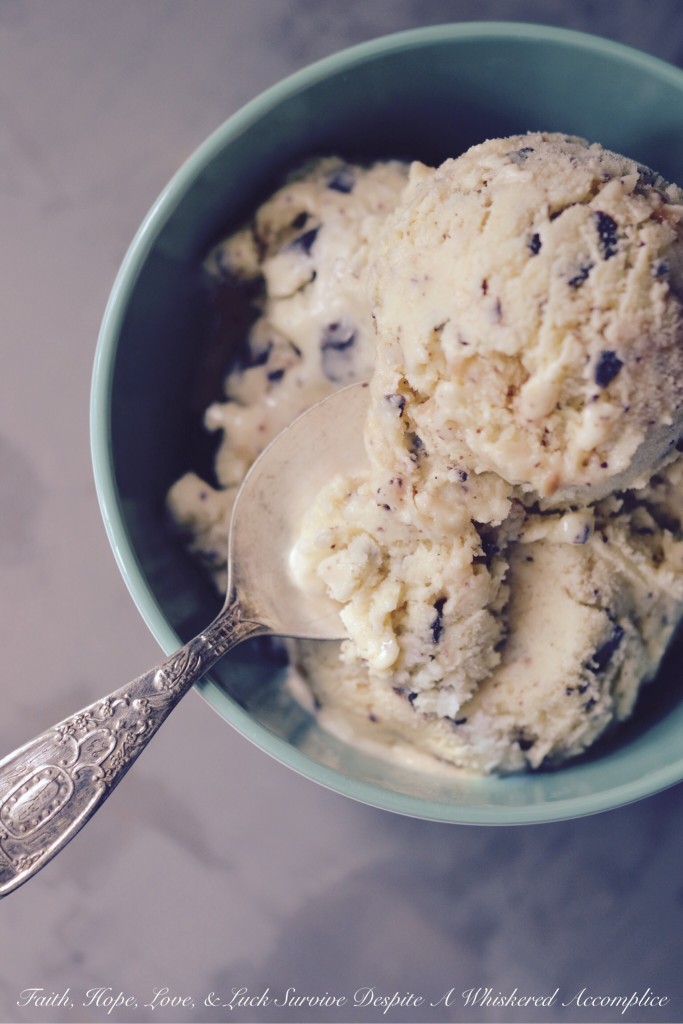 Coconut Chocolate Crack Ice Cream - Buttery toasted sweetened coconut and seriously dark chocolate chunks take this vanilla ice cream to the next level. The combination of flavors is amazing, making it the perfect frozen treat to cool down on a hot summer day. You won't be able to resist this addictive ice cream.
