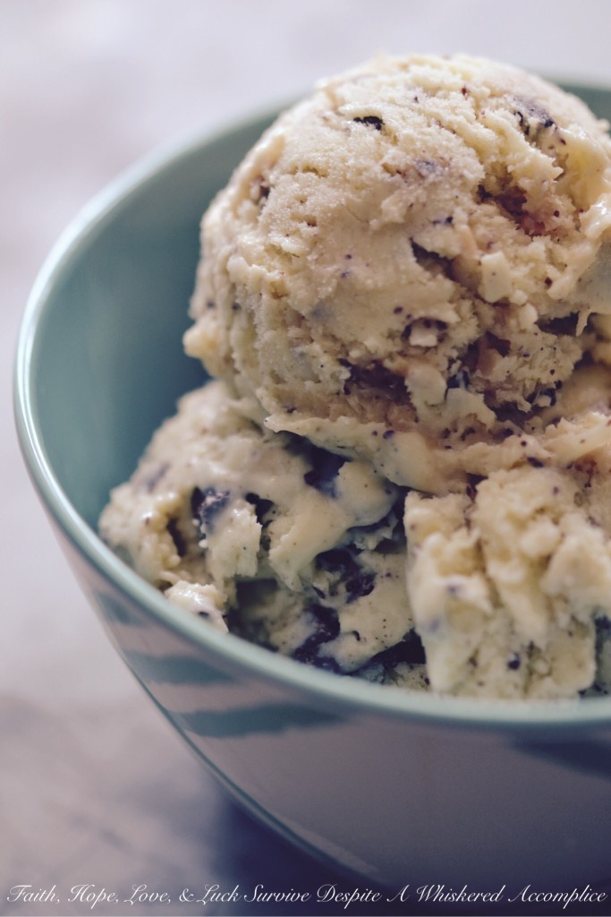 Coconut Chocolate Crack Ice Cream - Buttery toasted sweetened coconut and seriously dark chocolate chunks take this vanilla ice cream to the next level. The combination of flavors is amazing, making it the perfect frozen treat to cool down on a hot summer day. You won't be able to resist this addictive ice cream.