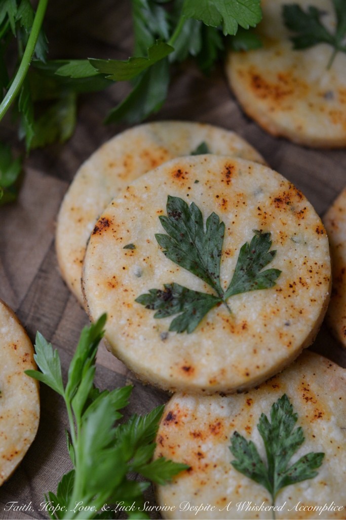 Chipotle Pecorino Romano Shortbread - This cheesy shortbread falls somewhere between a savory cookie and an overly thick cracker, with a satisfying crunch. The flaky texture with the added kick of chipotle will give your meal an instant extra boost of spicy flavor. Whether you're looking for an appetizer, a side, or just a tasty snack, this savory shortbread with chipotle and pecorino romano cheese is sure to hit the spot.