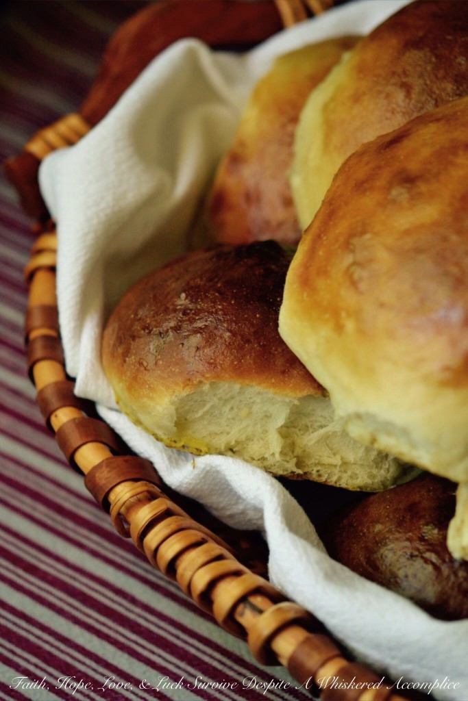 Buns for When Pigs Fly | Faith, Hope, Love, and Luck Survive Despite a Whiskered Accomplice
