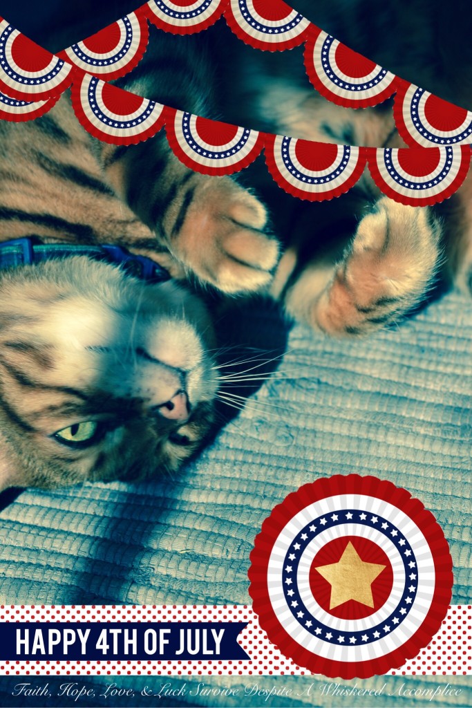 Happy Caturday! - 07/04/2015 | Faith, Hope, Love, and Luck Survive Despite a Whiskered Accomplice