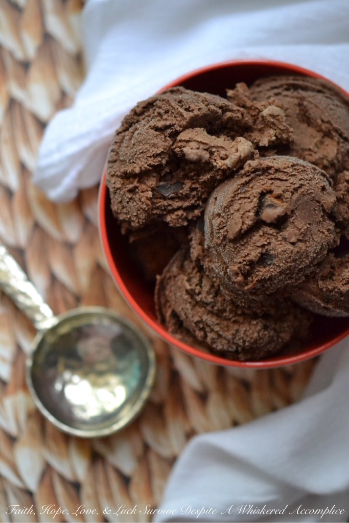 Chocolate Chocolate Simple Ice Cream - This is the perfect frozen treat for even the most dedicated chocolate lover. It's simple to make, decadent, super rich, and packed with chocolaty flavor. If you're a true chocoholic, this is definitely the double chocolate ice cream recipe for you.