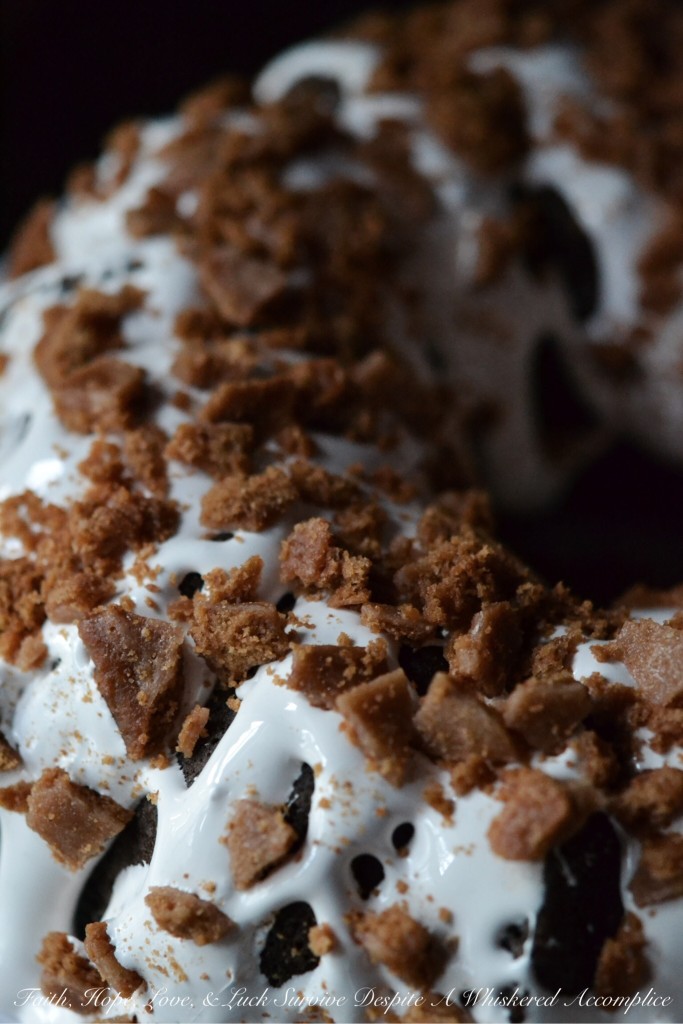 Salted Marshmallow and Graham Crack S'more Bundt Cake - #BundtBakers | Faith, Hope, Love, and Luck Survive Despite a Whiskered Accomplice
