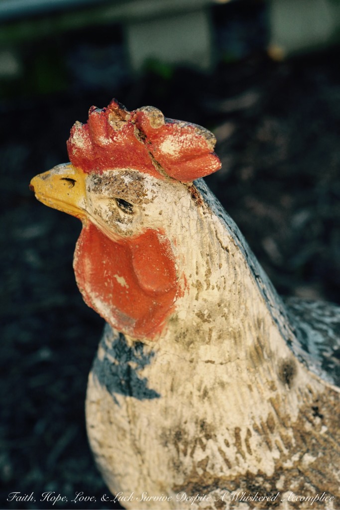 The Thursday Thirteen - 08/27/2015 | Faith, Hope, Love, and Luck Survive Despite a Whiskered Accomplice