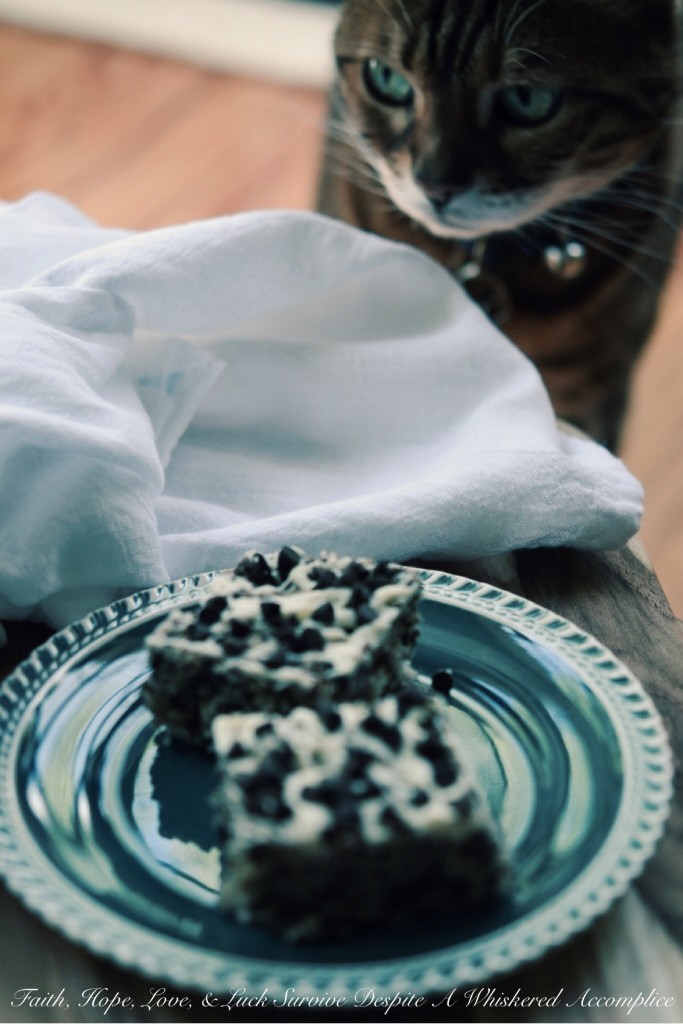 Oreo Rice Krispies Treats | Faith, Hope, Love, and Luck Survive Despite a Whiskered Accomplice