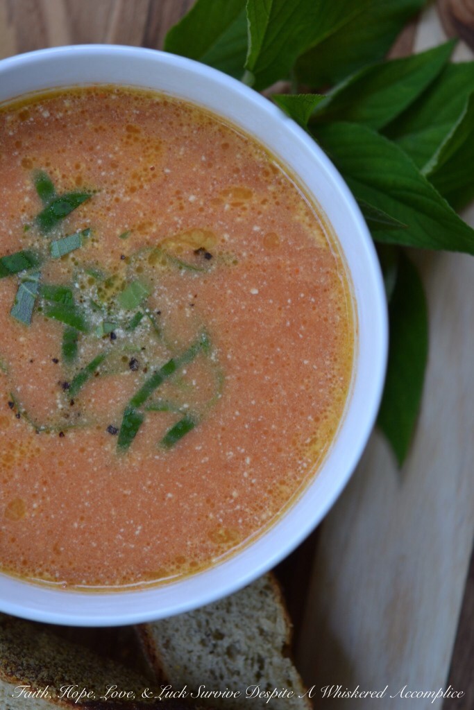 Sweet Tomato Soup | Faith, Hope, Love, and Luck Survive Despite a Whiskered Accomplice