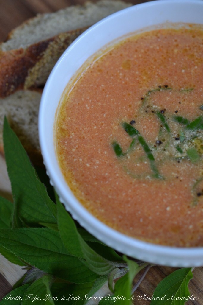 Sweet Tomato Soup | Faith, Hope, Love, and Luck Survive Despite a Whiskered Accomplice