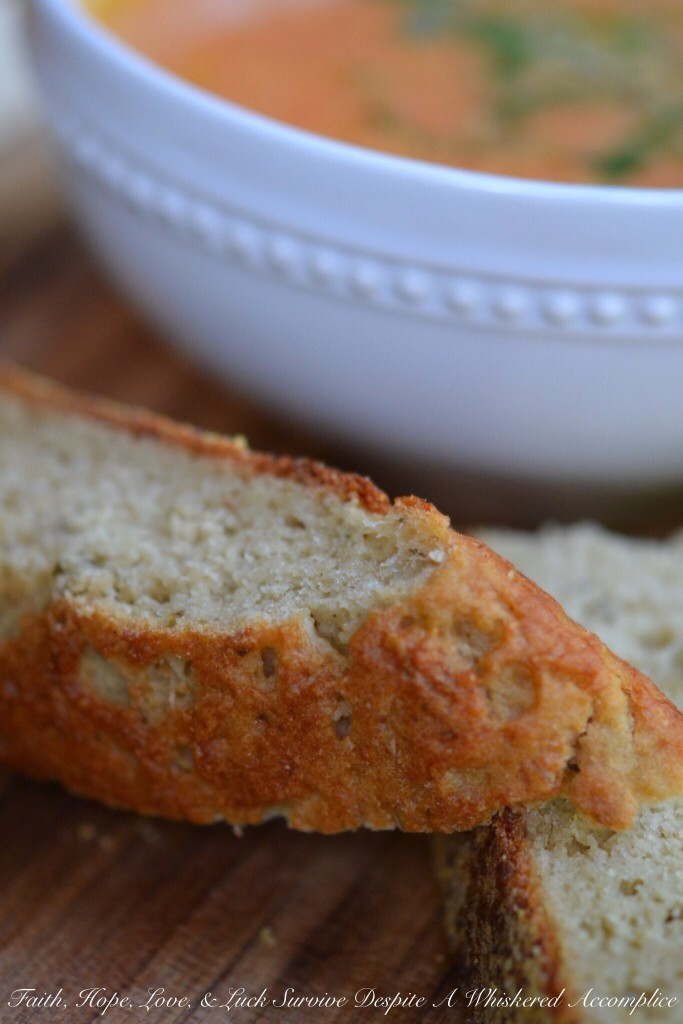 Sweet Tomato Soup | Faith, Hope, Love, and Luck Survive Despite a Whiskered Accomplice